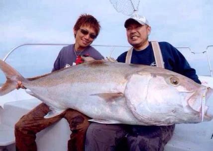 夢見釣到很多魚|夢見釣很多魚，夢到釣很多魚是什麽意思？